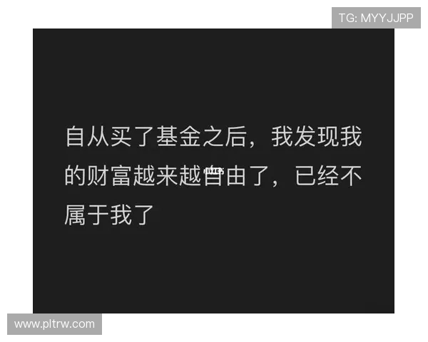 专访羽毛球明星陈伟深度剖析其成功背后的秘诀与心路历程