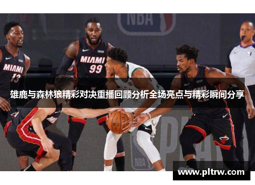 雄鹿与森林狼精彩对决重播回顾分析全场亮点与精彩瞬间分享
